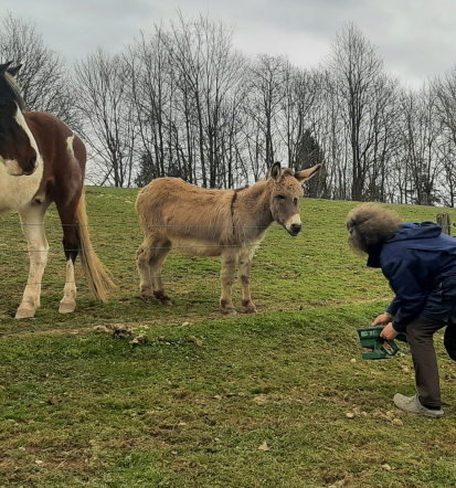 Obisk poučne kmetije Ljubljana, Slovenija, vodeni ogledi in praktične izkušnje