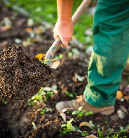 DOMAT, strokovnjak za ugodno urejanje okolice Osrednja Slovenija, Savinjska