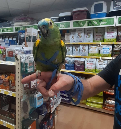 Dostava izdelkov za male živali Slovenija, Zajček, varen nakup, Posavje