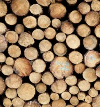 Poceni prodaja rezanega lesa Slovenija