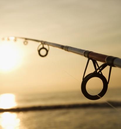 Trgovina z lovsko opremo Primorsko-Notranjska