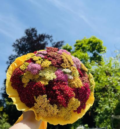 Poročni aranžmaji Ljubljana, Osrednja Slovenija