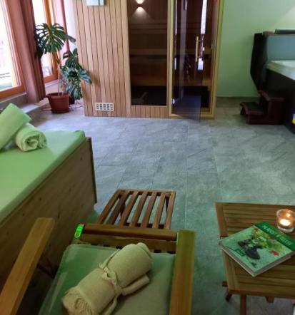 Razvajanje v wellness Zreče, Savinjska