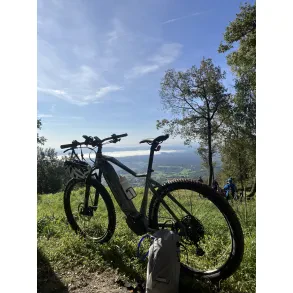 Prevozi in montaže "Mojster-S"