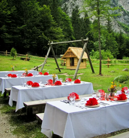 Naj vas prebudi ptičje petje, Planinski dom Planšarija, Logarski kot