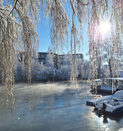 Najem ladjice za novo leto Ljubljana