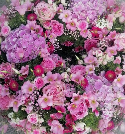 Šopki in rože Ljubljana