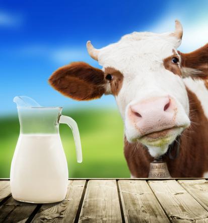 Strokoven prevoz mleka za kmete v Pomurju