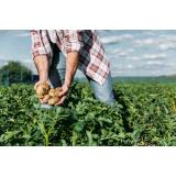 Agrarna skupnost Smokuč - Rodine