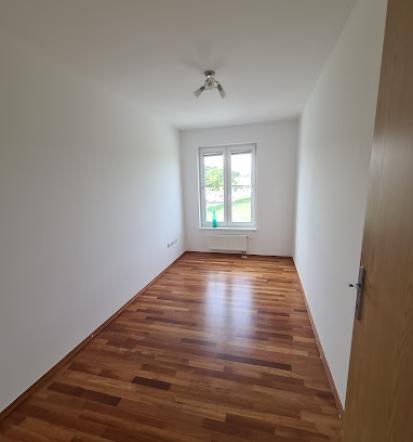 Beljenje sten Maribor