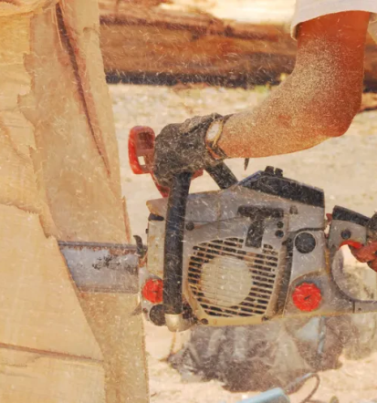 Poceni odkup rezanega lesa Slovenija