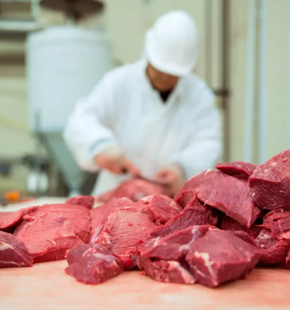 Sveže goveje meso Pomurje