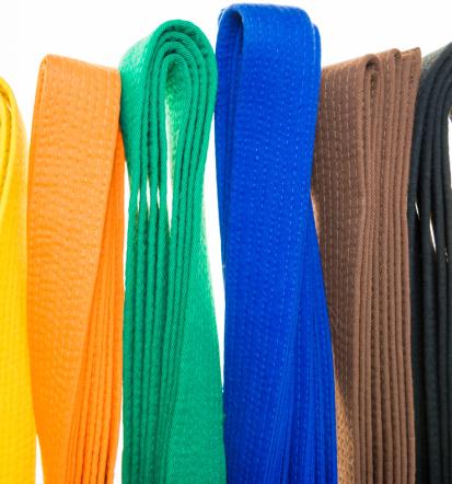 Vpis v šolo karateja Ljubljana