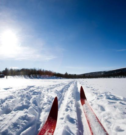 Smučarska šola za odrasle Goriška