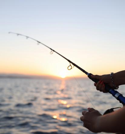 Fishing guide Goriška