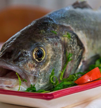 Top gostilna Strunjan, Portorož, obiščite nas