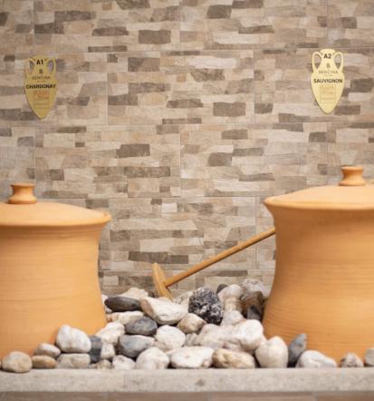 Degustacije vin Vipava