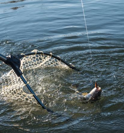 Fishing guide Slovenia