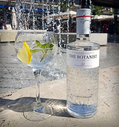 Restavracija Nova Gorica, Goriška