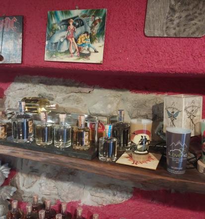 Domači gin Primorska