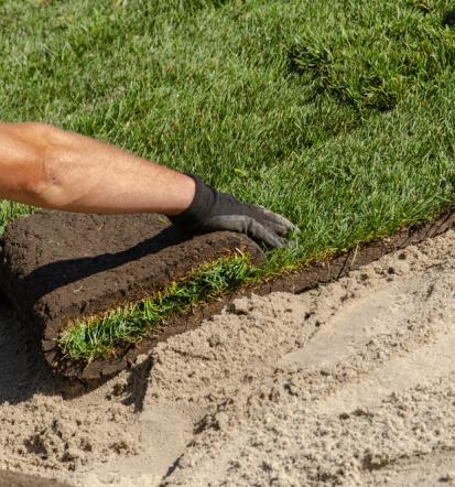 Vrtnarska dela Zasavje