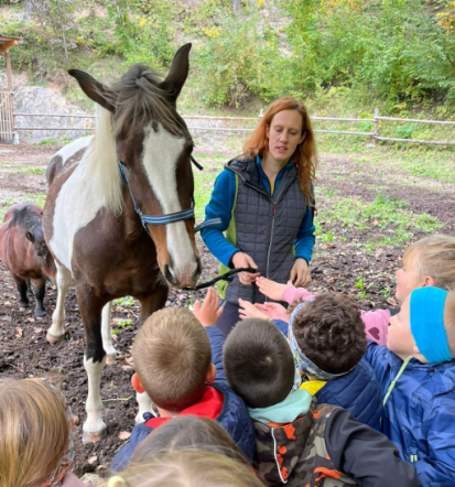 Ekološka učna in turistična kmetija, delavnica in doživetja za otroke Savinjska