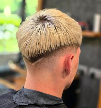 Brivnica Škofljica okolica