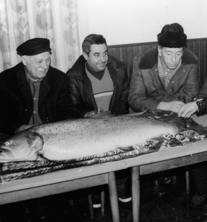 Nakup ribiških dovolilnic Savinjska