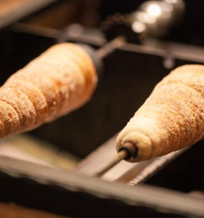 Najem kurtoš food truck-a Štajerska