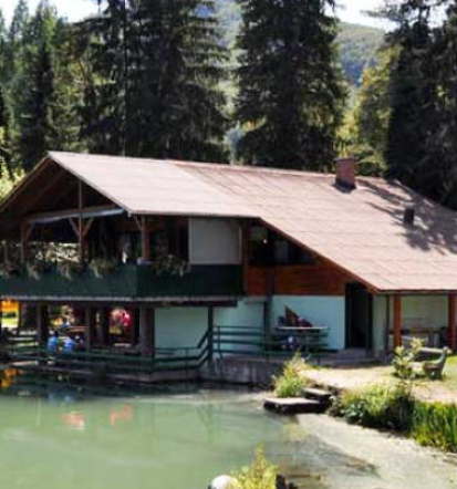 Organizirano muharjenje Savinjska