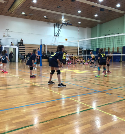 Vpis v ženski odbojkarski klub Domžale, Osrednja Slovenija