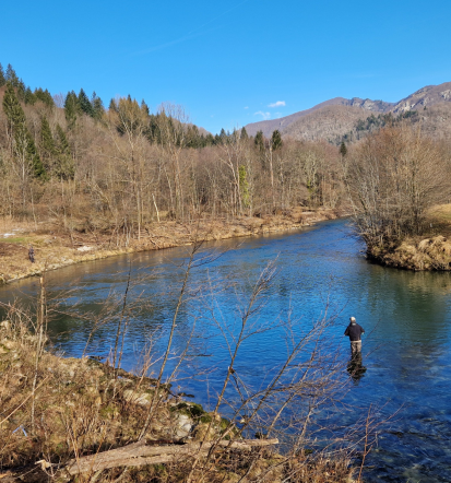 Ribolov na Bohinjskem jezeru