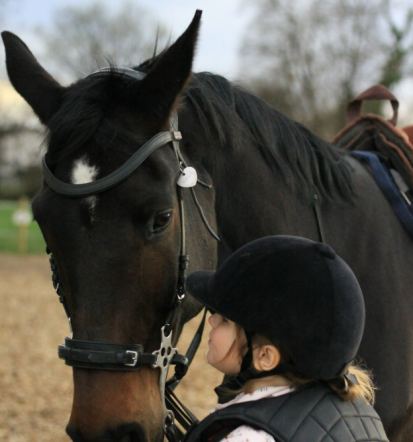 Jahalna šola Ljubljana in terapije za konje, Zavod Geronimo