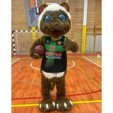 Košarkarski klub Prebold 2014