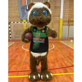 Košarkarski klub Prebold 2014