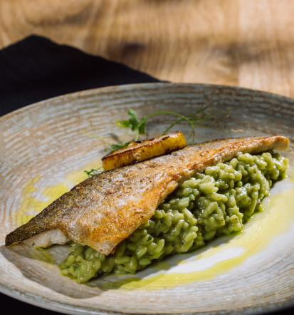 Najem prostora za zaključene družbe Celje