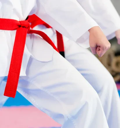 Karate za otroke Medvode