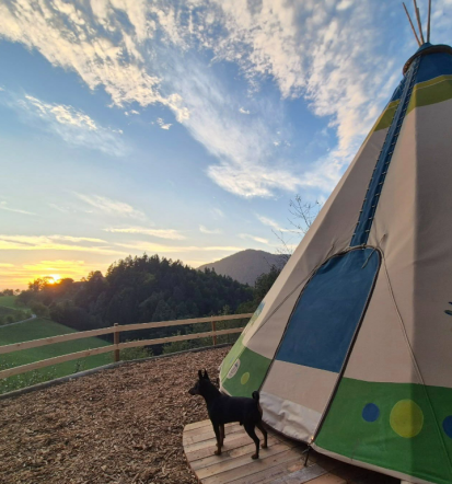 Delavnice in doživetja za otroke Savinjska, stik z živalmi in naravo