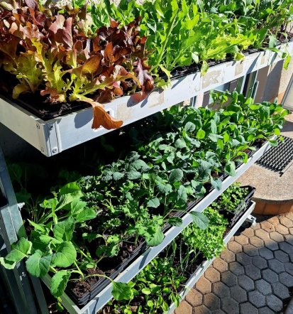 Zero waste in EKO gospodinjstvo, Amarant trgovina v Trzinu