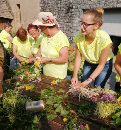 TD Šmarje pri Jelšah