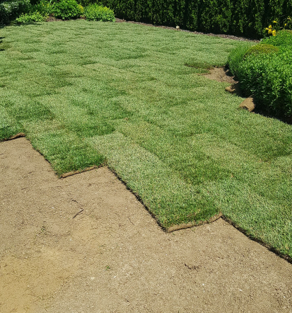 Redna nega vrta in obrezovanje dreves, urejanje okolice Slovenija