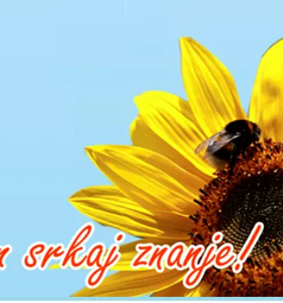 Seminarji in izobraževanja za učitelje in vzgojitelje Slovenija, pokličite za več informacij