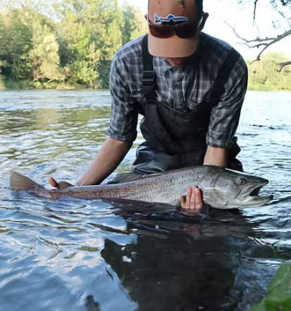 fly fishing Slovenia