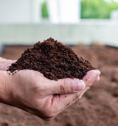 Organsko gnojilo Slovenija