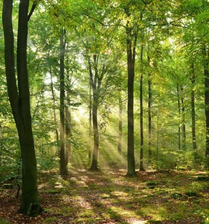 Odpadki kot energija, pridobivanje sekundarnih surovin in predelava Podravska