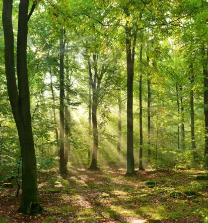 Odpadki kot energija, pridobivanje sekundarnih surovin in predelava Podravska