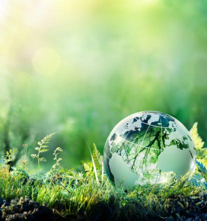 Strokovno svetovanje s področja ekologije Slovenija