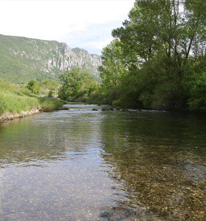 Organized fly fishing trips Slovenia