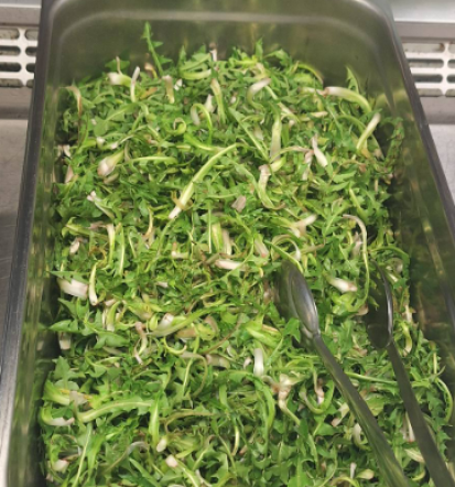 BTC Ljubljana, najboljše malice in kosila v Škrnic’lju