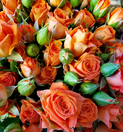 Zavijanje daril in cvetlični aranžmaji Savinjska